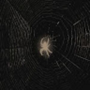 Meet your Posher, Salena